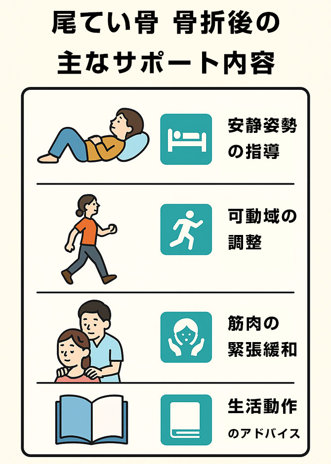 整骨院でできる尾てい骨骨折後のサポート内容イラスト